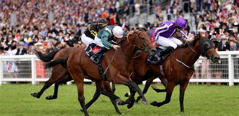 royal ascot promotions